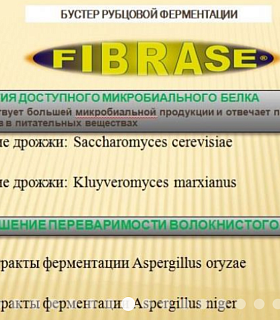 Кормовая добавка для жвачных FIBRASE